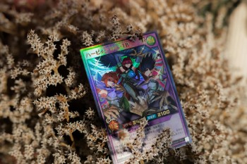 mtg proxy