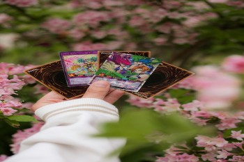 mtg proxy